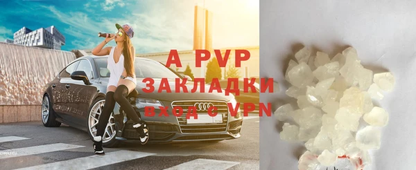 гашик Арсеньев