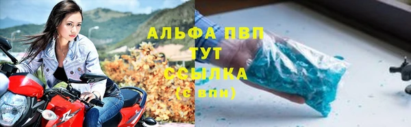 гашик Арсеньев