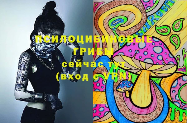 гашик Арсеньев