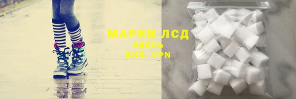 гашик Арсеньев