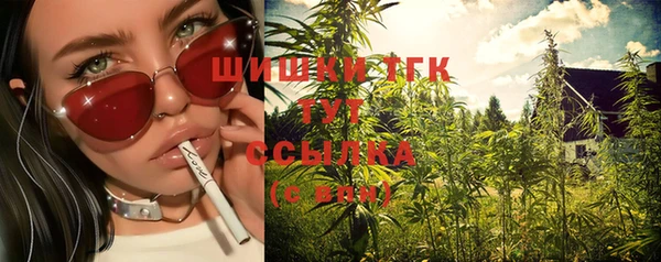 гашик Арсеньев