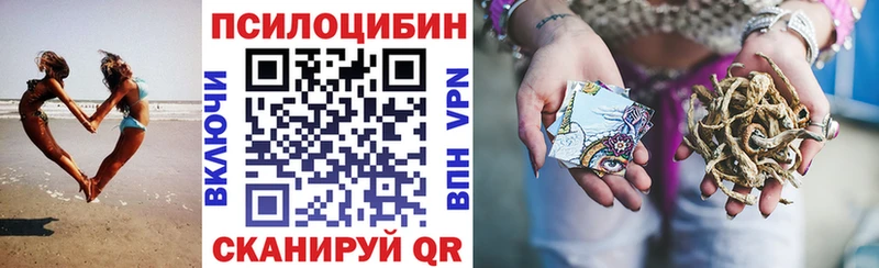 Псилоцибиновые грибы Psilocybe  Купить  Цимлянск 